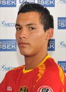 Rodrigo Gattas Bertoni