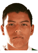 Juan Alexis Ribera Castillo logo