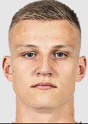 Dmitri Redkovich logo