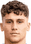Stefano Piccinini logo