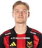 Henrik Norrby logo