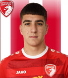 Nikola Bukumira logo