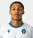 Isaiah Johnston logo