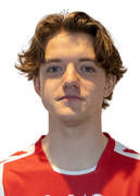 Daniel Schneider logo