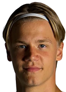 Niklas Leinonen logo