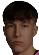 Niklas Voutilainen logo