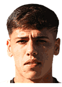 Pedro Navarro logo