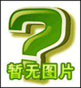Chris O'Connor logo