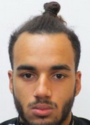 Lamin Diallo logo