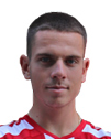 Vladimir Prijovic logo