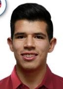 Diego Alejandro Rosales Islas logo