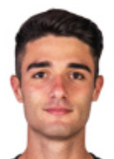Gabriele Ferrarini logo