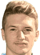 Florent Shehu logo