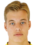 Joel van der Wilt logo