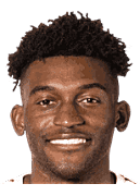 Nelson Pierre logo