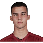 Dimitrije Minić logo
