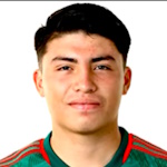 Luis Navarrete logo