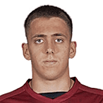 Nikola Grujic logo