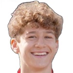 Ryan van de Pavert logo