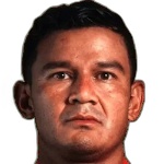 Nery Lobos logo