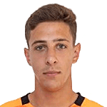 Mirko Stevanovic logo