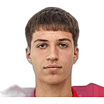 Dimitrije Šarić logo