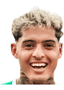 Nicolas Barreto logo