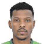 Mohamed Ismail logo