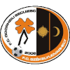 Odorheiu Secuiesc logo