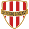 Sokol Brozany logo
