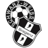 SC Bregenz logo