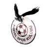 Kartalspor U19 logo