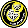 Beitar Nes Tubruk logo