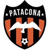 U19 Patacona CF logo