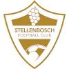 Stellenbosch FC Reserves logo