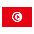 Tunisia Futsal logo