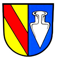 FC Denzlingen logo