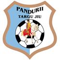 Pandurii logo