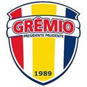 Gremio Prudente logo