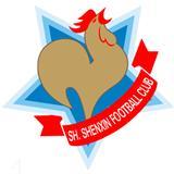 Shanghai Shenxin logo