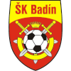 SK Badin logo