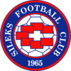 Sileks logo