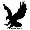 Oghab Tehran logo