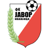 FK Javor Ivanjica logo
