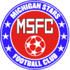 Michigan Stars logo