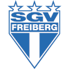SGV Freiberg U19 logo