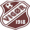 Vigor logo