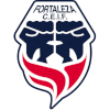 Fortaleza U19 logo