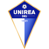Unirea Dej U19 logo