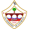 UD San Sebastian Reyes U19 logo